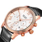 MEGIR Brown Retro Sports Quartz Men's Watches Large Dial Chronograph Clock Fashion Multifunctional Men Wrist Watch Montre Homme 2012